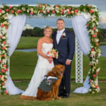 Golden Retriever Chosen As The Most Special Friend At The Wedding Of The Wounded Veteran
